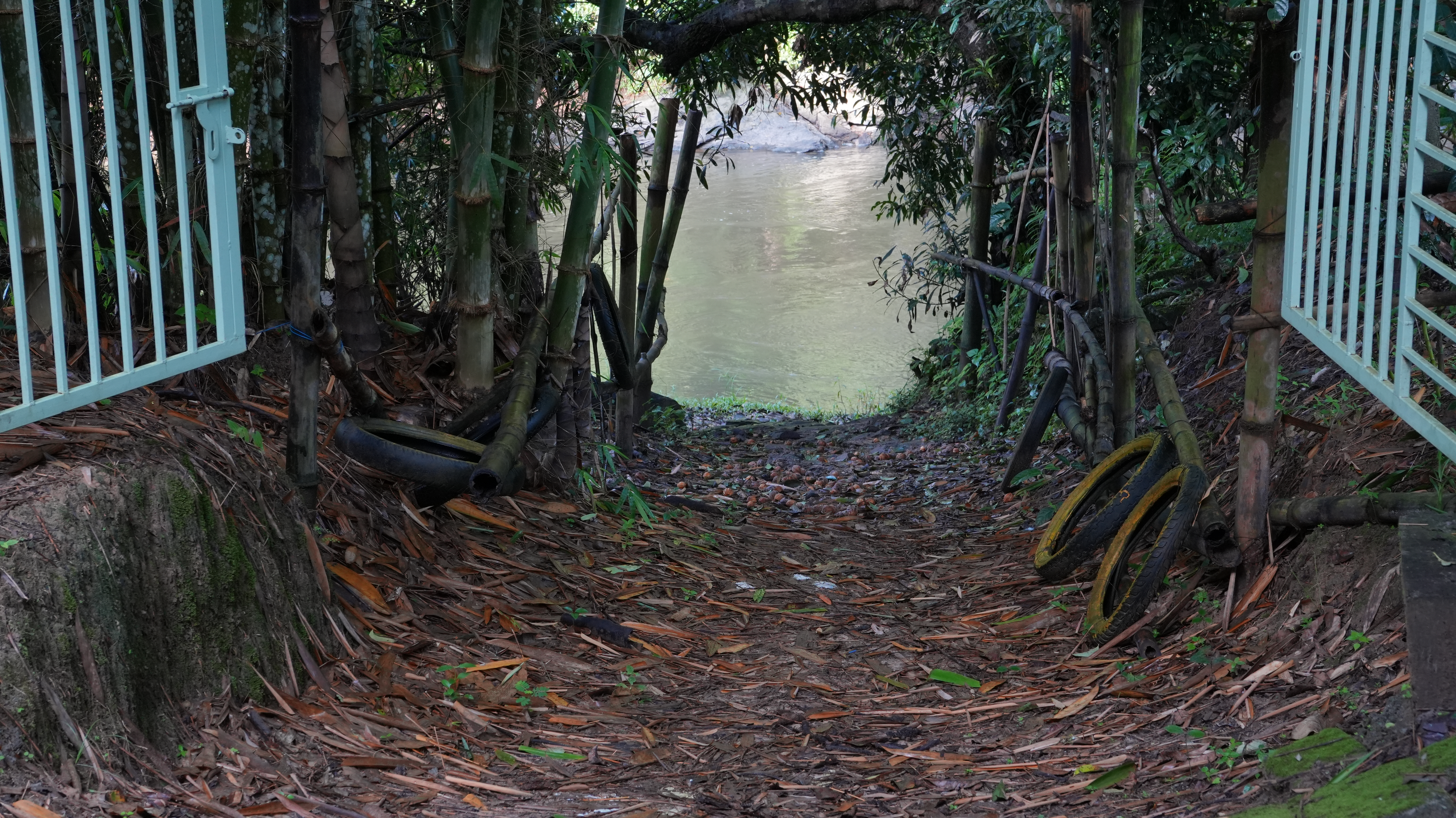 A crashed drone beside a wooded riverbank in Coorg