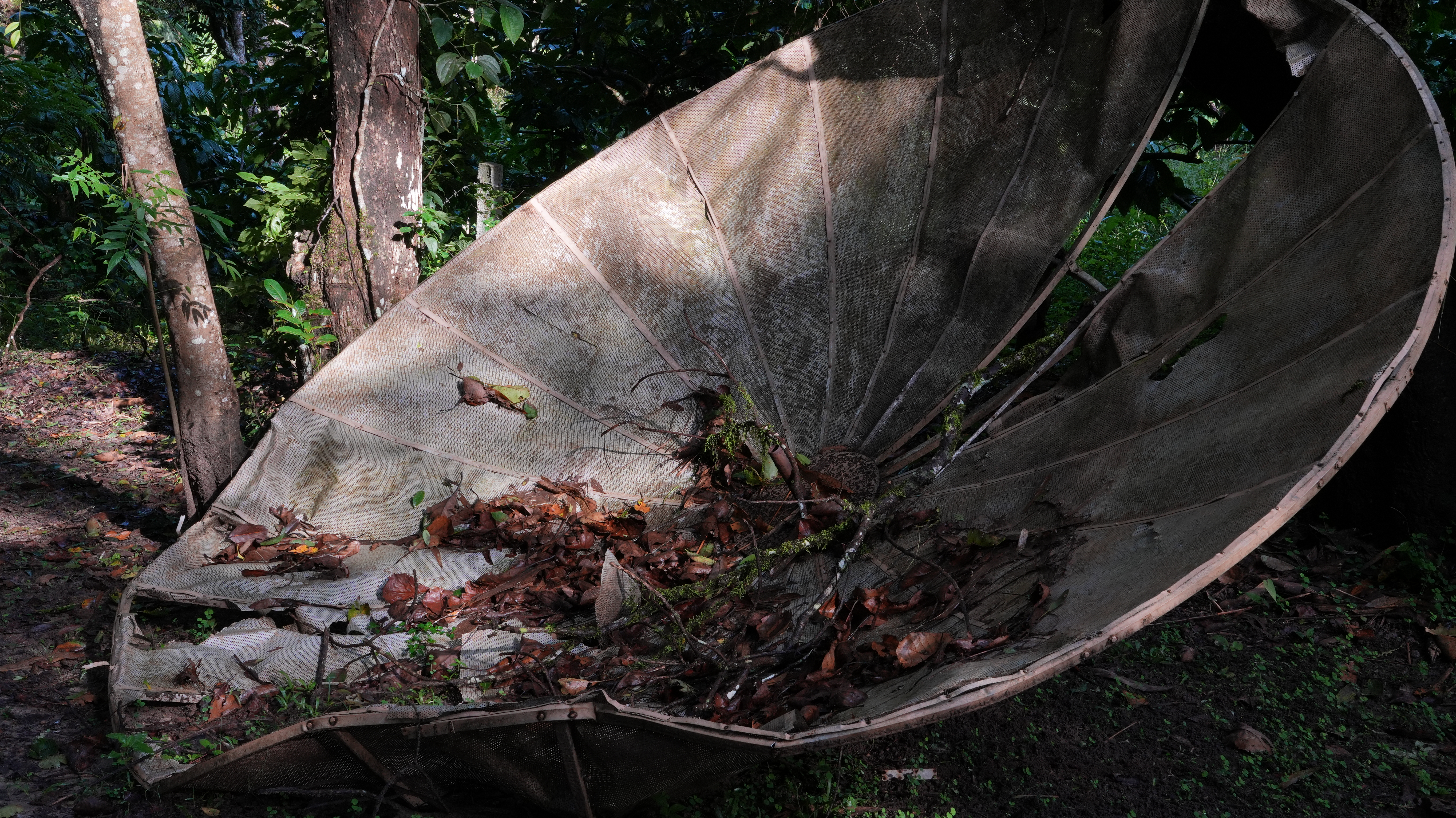 A fallen parabolic dish among trees and wet leaves in Coorg