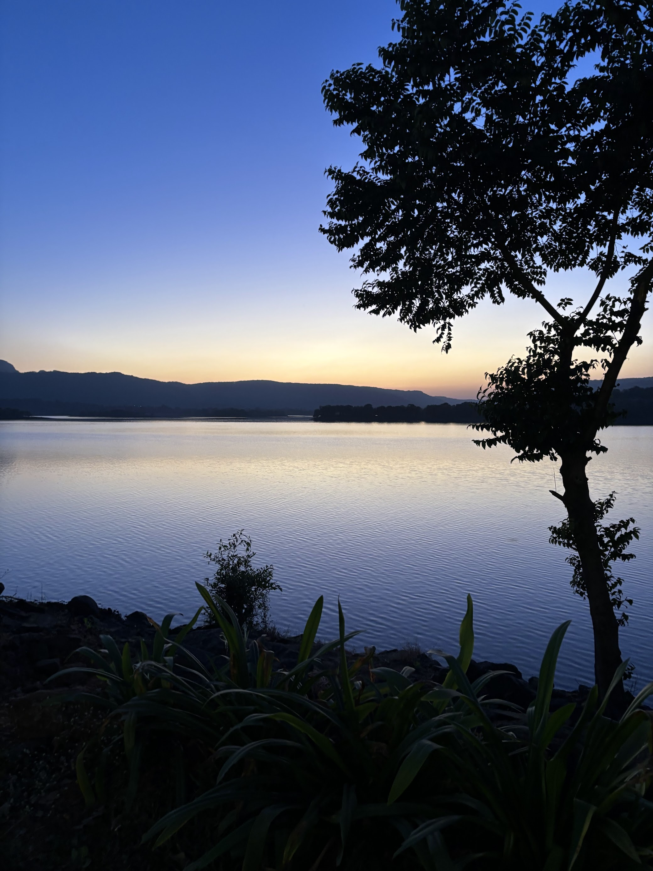 A blue sunset over Pawna Lake, with silhouetted hills and a tree, seen from Zostel Plus in Lonavala